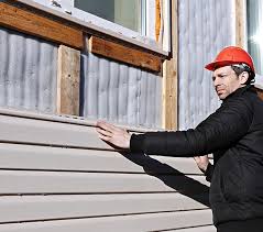 Best Steel Siding Installation  in Aho Falls, ID